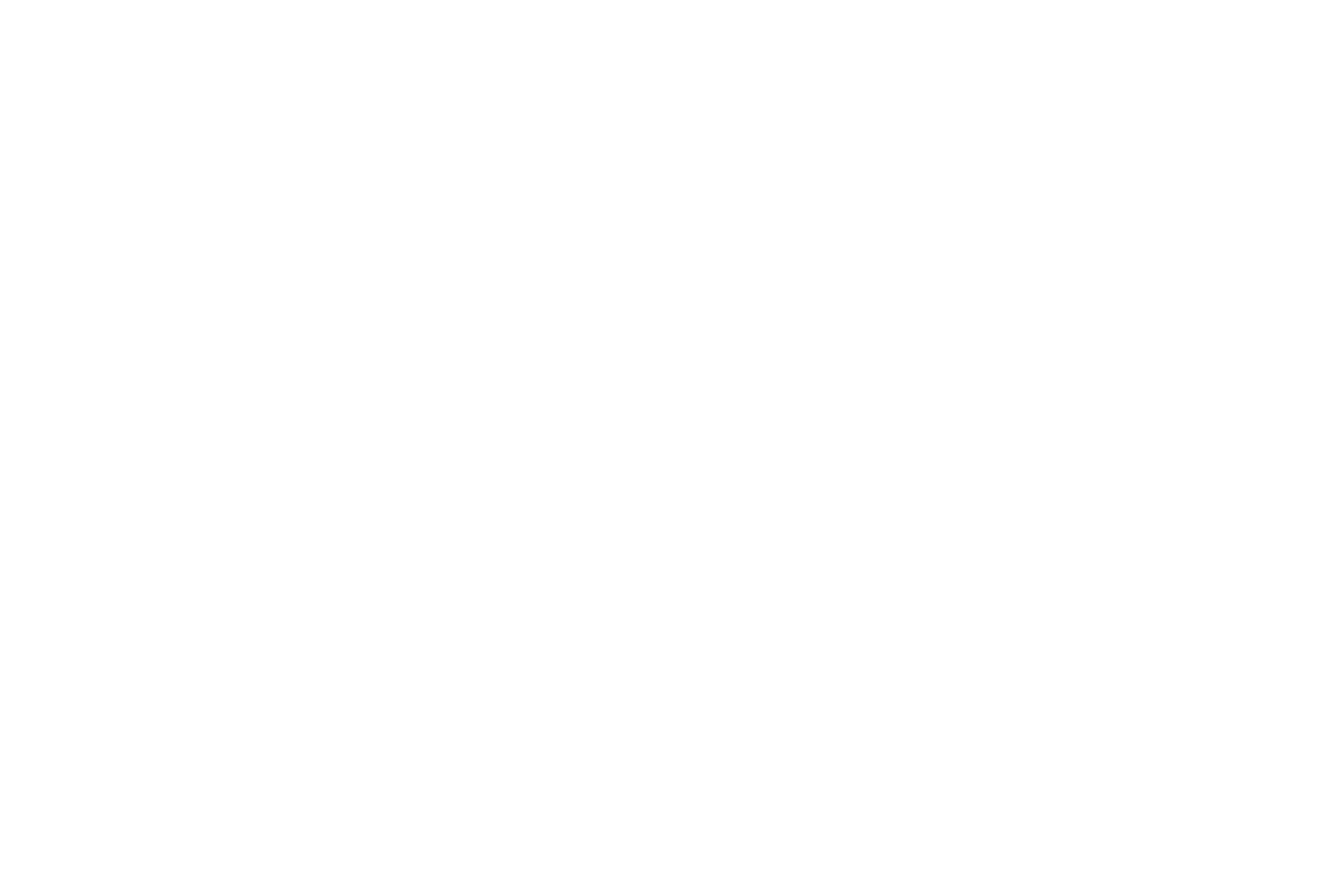 Mendoza Roofing